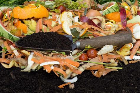 How To Compost At Home Step By Step Guide For Beginners