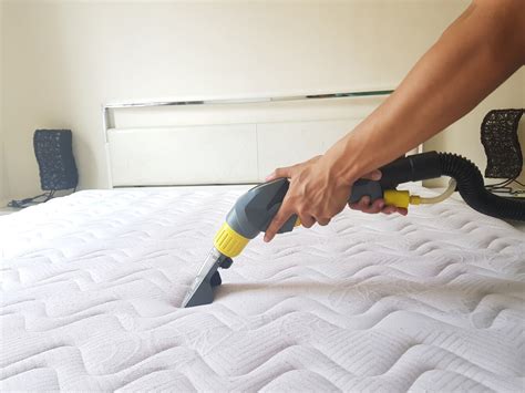 Best steamers for bedding and mattresses. Mattress Cleaning in Adelanto - My Steam Green Carpet Cleaning