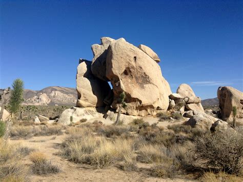 Exploring Joshua Tree With Kids One Day Itinerary No Back Home