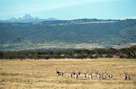 10 Best Things To Do In Kenya For 2022 Go Backpacking