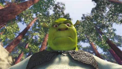 Annoyed Shrek Shrek Best Funny Pictures Princess Fiona