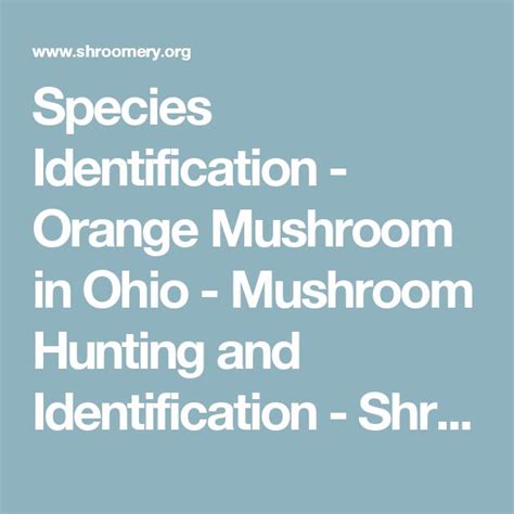 The Words Species Identification Orange Mushroom In Ohio Mushroom