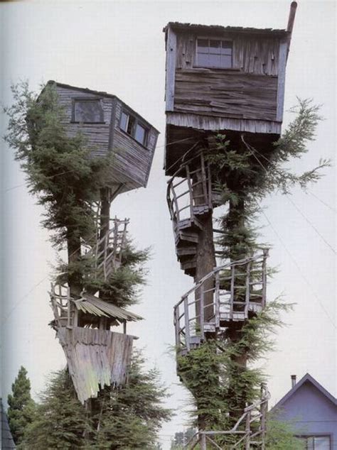 These Are The Most Amazing Tree Houses In The World Everything Mixed