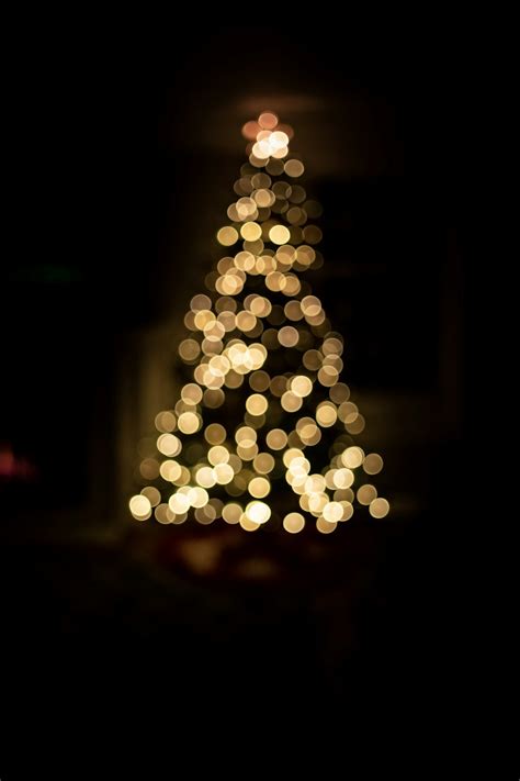 1000 Christmas Tree Pictures Download Free Images On Unsplash