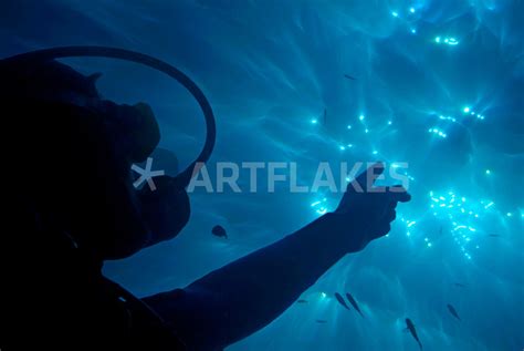 A Scuba Diver Pointing The Sunbeams Penetrating The Waters Surface