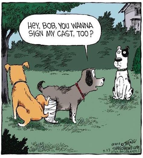Pin By Candace Arnold On Animal Cuteness Dog Jokes Funny Cartoons