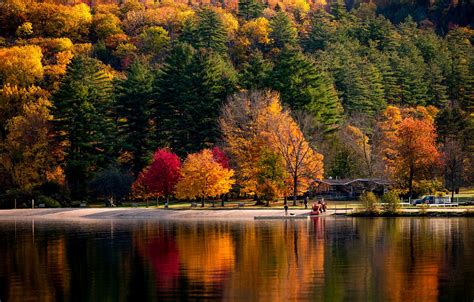 Wallpaper Autumn Forest The Sun Trees River Shore Usa Vermont