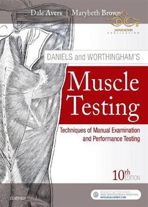 Daniels And Worthinghams Muscle Testing Techniques Of Manual