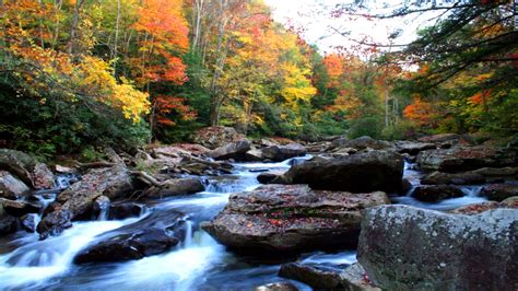 Natural Autumn Mountain River Rock Noise Yellow And Red Leaves Beautiful Hd Wallpaper