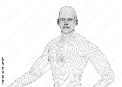 Beautiful Naked Man Poses Male Body D Wireframe Vector Stock Vector Adobe Stock