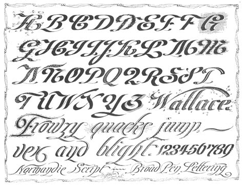 Calligraphy Alphabet French Calligraphy Alphabet