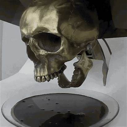 Skull Ferrofluid Magnet Science Meets Liquid Sculpture