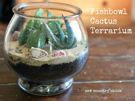 Try creating a cactus terrarium to bring a bit of desert tranquility into your home. DIY Terrarium Cactus Garden