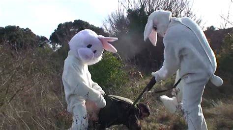 Evil Rabbits Youtube