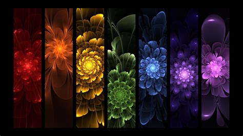 Flower Fractals By Liz Galbraith