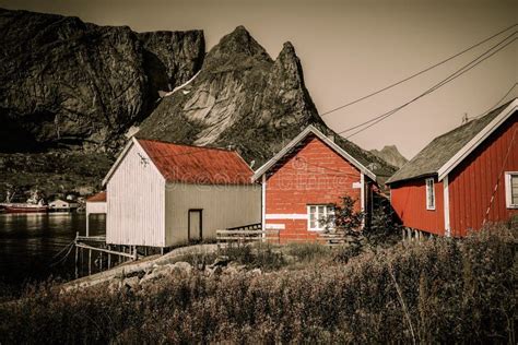 Houses In Reine Village Norway Stock Photo Image Of Hill House