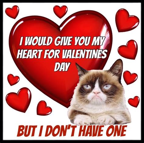 I Would Give You My Heart For Valentines Day But I Dont Have One 😻