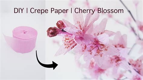 Diy Tutorial To Make Beautiful Cherry Blossom With Crepe Paper Youtube