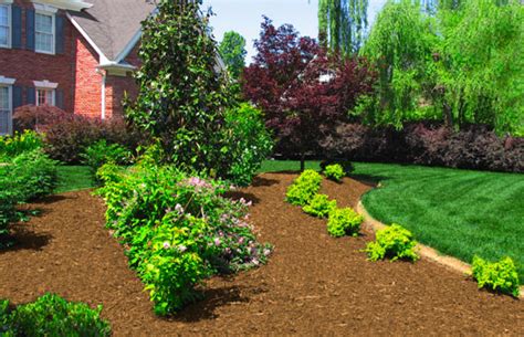 A Color Specialist In Charlotte What Color Mulch To Choose