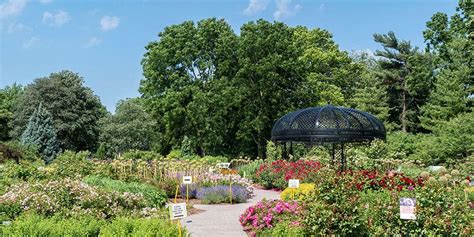 12 Best Gardens In Toronto You Need To See Toronto And The Gta