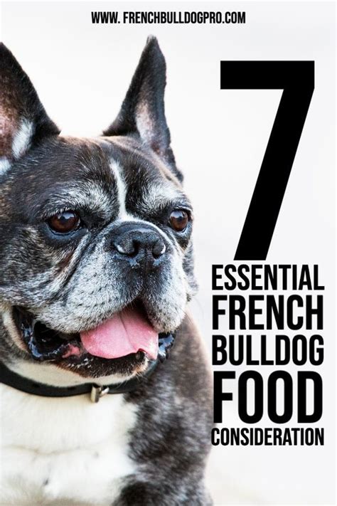 By the middle of the 1800s, the sport was todays olde english bulldogge matches the looks of the bull baiting dog of the early 1800s. 7 Essential French Bulldog Food Consideration in 2020 ...