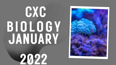 Cxc Biology January 2022 Paper 2 Youtube