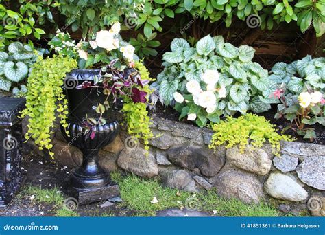 Elegant Begonia Planter Stock Image Image Of Flora Outdoors 41851361