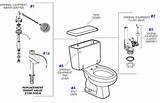 Photos of Toilet Repair And Parts