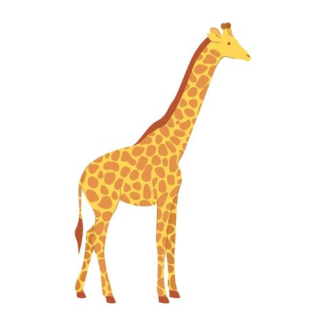 Premium Vector Giraffe Cartoon Vector
