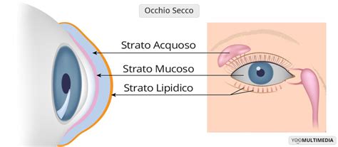 Occhio Secco Cause Sintomi E Cure Centro Oculistico Poliambulanza