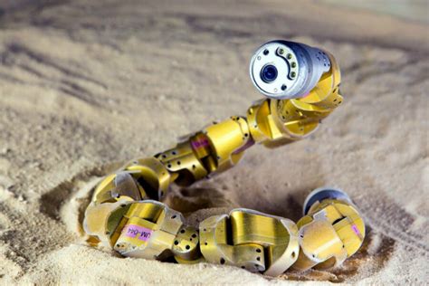 Robot Snake Slithers Like A Sidewinder The Ultimate All Terrain