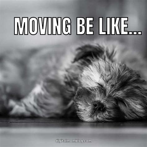 The Best Moving Memes Moving House Quotes Moving Humor Moving