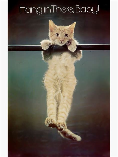 Hang In There Poster For Sale By Nicomazz Redbubble