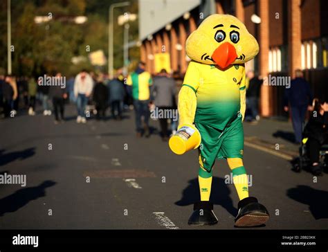 Captain Canary Norwich Hi Res Stock Photography And Images Alamy