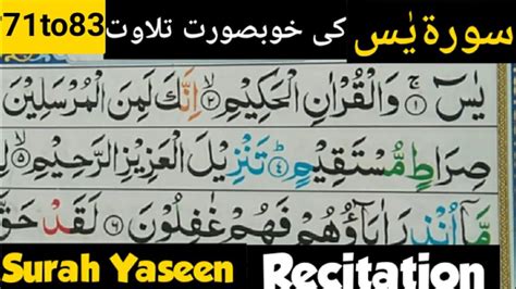 Learn Quran Surah Yaseen Part 5verse 71 To 83 Word By Word Surah