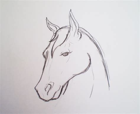 Horse Drawings Easy Horse Drawing Horse Drawing