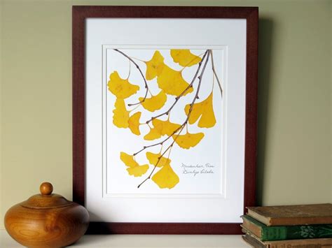 Pressed Ginkgo Leaves Print 11x14 Double Matted Ginkgo Tree Etsy Uk