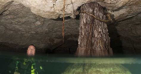 Pictured Inside The Worlds Most Dangerous Underwater Caves Trees