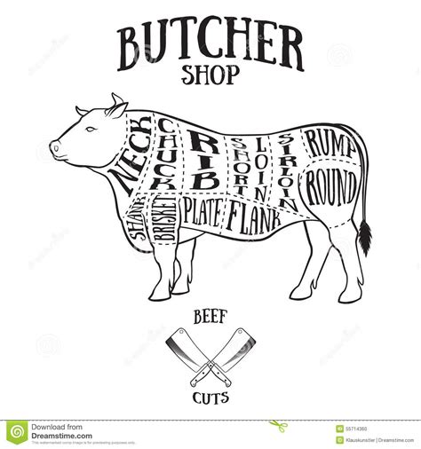 Use these free cartoon beef png #86704 for your personal projects or. Butcher Cuts Scheme Of Beef Stock Vector - Illustration of ...