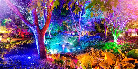 The Enchanted Garden Events The Weekend Edition