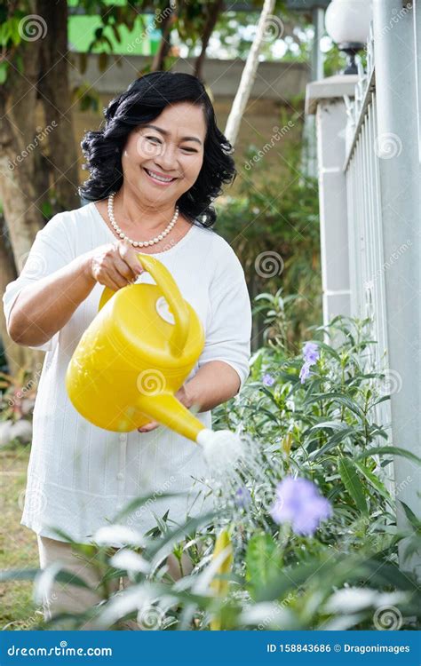 Mujer Mayor Riego Las Plantas Foto De Archivo Imagen De Sonriente