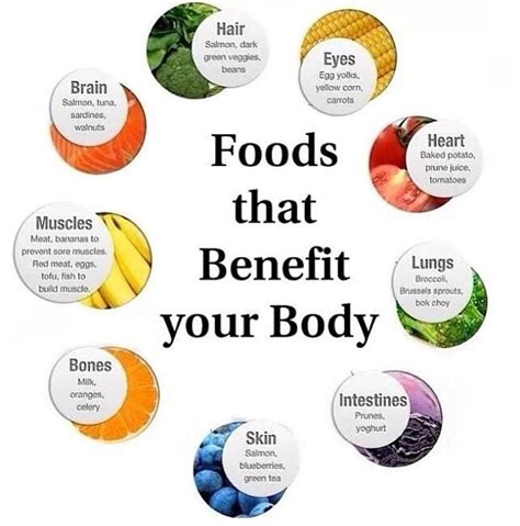 Body Benefits Musely