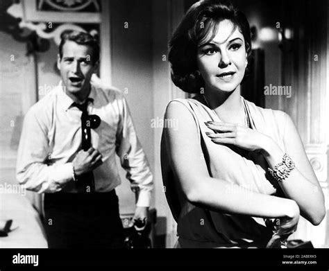 Sweet Bird Of Youth From Left Paul Newman Geraldine Page 1962 Stock