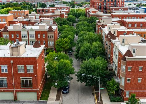 Your Complete Lincoln Park Chicago Neighborhood Guide Rent Blog