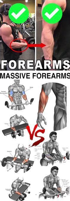 Massive Forearms Massive Forearms In 2022 Forearm Workout Gym