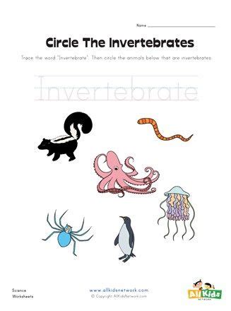 Ask your students to pick an invertebrate. Circle the Invertebrates Worksheet | All Kids Network ...