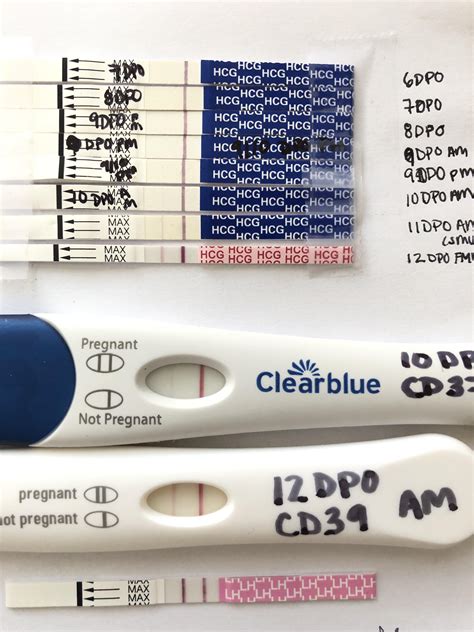 6 DPO-12 DPO Pregmate and Accumed, Clearblue early detection 10DPO AND