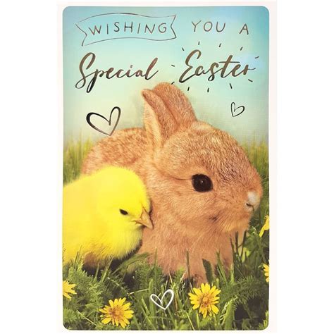 Chick And Bunny Easter Card Greeting Cards Bandm