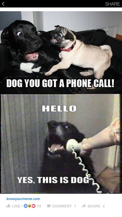 Dog Phone Call Hello This Is Dog Funny Animals Dog Memes