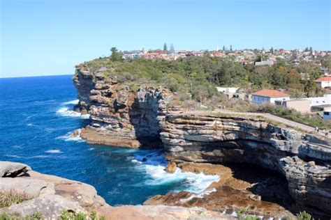 Federation Cliff Walk Watsons Bay Updated 2020 All You Need To Know